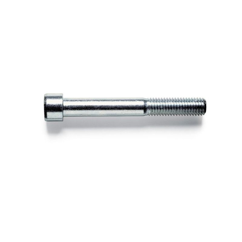TORNILLO ALLEN 912 8.8 10x060MM CINC FONTANA 200 PZ