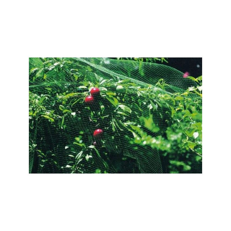 MALLA ANTI-PAJARO 4X6MT NATUUR PL VER NT118600
