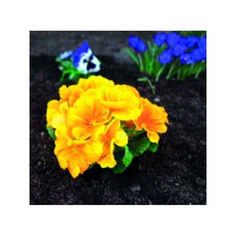MALLA JARD 1,5X10M ANTIHIERBA NATUUR PP MARR NT124554